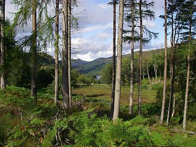 Curin, Strathconon to Loch Meig